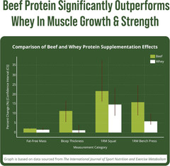 Grass Fed Beef Protein Powder – Lactose Free Great Tasting Beef Protein Isolate.