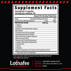 Nitric Oxide L-Arginine Pre-Workout + Testosterone Booster, Men’s Multivitamin