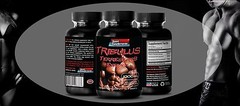 Testosterone Booster – Tribulus Terrestris 1000 Muscle Gainer 90 caps 1 Bottle