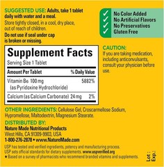 Nature Made Vitamin B6 100 mg Tabs, 100 tab