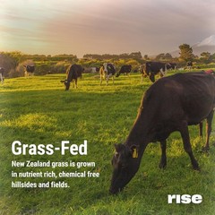 Rise Grass-Fed Whey Protein Powder – Vanilla | 25g Protein No Artificial Flavors