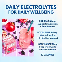 Plink Fizzy Electrolyte Tablets For Adults Kids Pomegranate Berry 48Ct