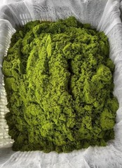 100g Wolffia Organic Dried Powder Natural Super Food High Vitamin Fiber Protein