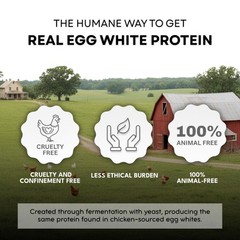 Healthier Comforts Animal-Free Egg White Protein Powder | 8 Ounce (Pack of 1)
