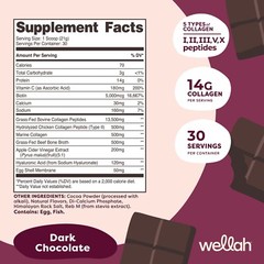 Wellah The Afterglow Multi Collagen Protein + Beauty (Dark Chocolate Flavored)