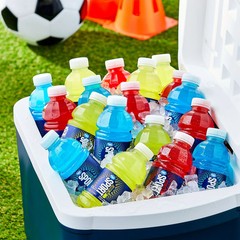 Hydration Drink variety pack Fruit punch Lemon Lime Mixed Berry 12 fl oz 18….