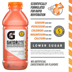 Gatorlyte Watermelon Electrolyte Drink, 12 Pack, 20 Fl Oz Bottles