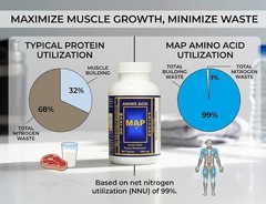 INRC Master Amino Acid Pattern (MAP)Muscle Building Tablets–2 Pack (240 Tablets)