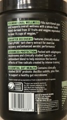 GNC AMP AMPLIFIED GREENS Powder 10oz (30 Serv) Blueberry Pomegra BEST BY 08/26