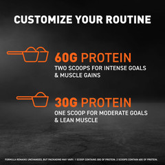 Whey Protein Powder Chocolate High Protein Nutritional Supplement