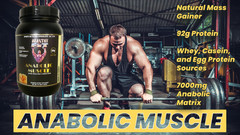 2 Pack- Healthy ‘N Fit Anabolic Muscle (Vanilla) 3.5lb : Mass & Strength Gainer