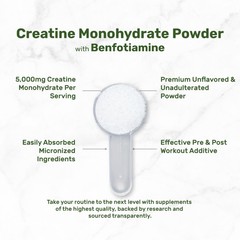 Instant Creatine Monohydrate Powder, 5g Per Serving – 41.6 Ounce (Pack of 1)