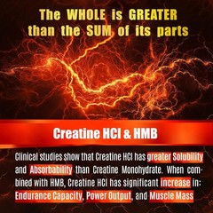 Creatine HCL Capsules with HMB – Workout Supplement for Men & Women, Muscle Buil