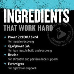 Universal Nutrition Animal Juiced Aminos, 30 Servings – Loaded with BCAA and EAA