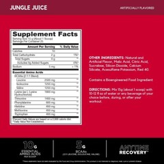 BSN AMINO X EAAs Bcaa Essential Amino Acids Muscle Growth Recovery – LEAKING LID