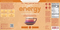 Perk Energy Original Vanilla Caramel Steamer Flavored Drink Powder (20 Servings)