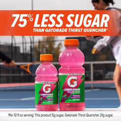 Gatorade Lower Sugar Fruit Punch, 20 fl. oz., 6 Pack | Free Shipping