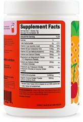 Wellah Creatine + Hydration Powder (Fruit Punch) 30 Servings – Drink Mix