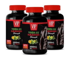 muscle builder testosterone – TRIBULUS MAXIMUM 3B 300CAPS – tribulus supplement