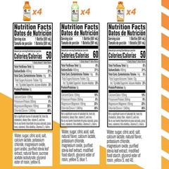 Electrolyte Drink Mix – 12 Pack, 20 fl oz Bottles, 5 Electrolytes, Low Sugar, No