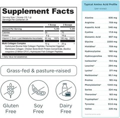 Ancient Nutrition Multi Collagen Protein Powder 10 Types Unflavored 24 Serv