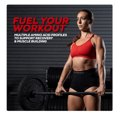 REDCON1 MRE Lite Whole Food Protein Powder, Chocolate, Whey & Lactose Free Meal