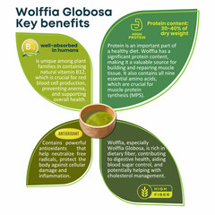Pure Dried Wolffia Globosa Powder Plant Base High Protein Superfood, B12 Vegan