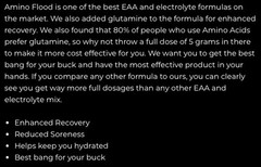 Storm Labs – Amino Flood EAAs – Strawberry Watermelon – (30 Servings)