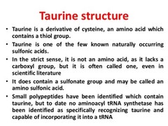 anti inflammatory supplement – L-TAURINE 500MG 1B 1B – taurine