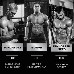 Testosterone Supplement for Men Muscle Growth, 60 Count (Pack of 1)
