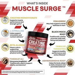 Clean Nutra Muscle Surge – All-in-One Creatine Powder for Men
