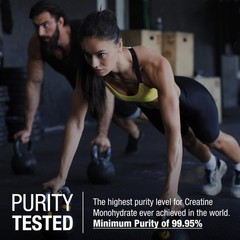 German Creatine – Micronized Creatine Monohydrate Powder, 99.99% Pure Creapur…