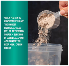 NOW Sports Whey Protein Concentrate Unflavored 5LB 24g Protein