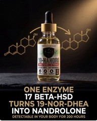 19 Nor DHEA 2 Step Precursor To Deca For Size & Strength By Vintage Muscle 💪 🧪
