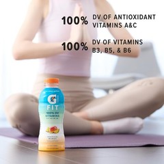 Fit Electrolyte Beverage 16.9oz 12-Pack-#